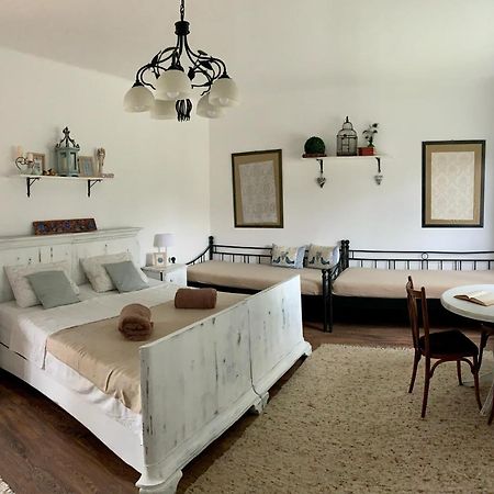 Apartmán Gyere Be Vendeghaz Dregelypalank Exteriér fotografie