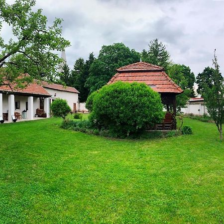 Apartmán Gyere Be Vendeghaz Dregelypalank Exteriér fotografie